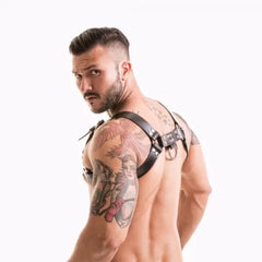 Fetish  Series Harness